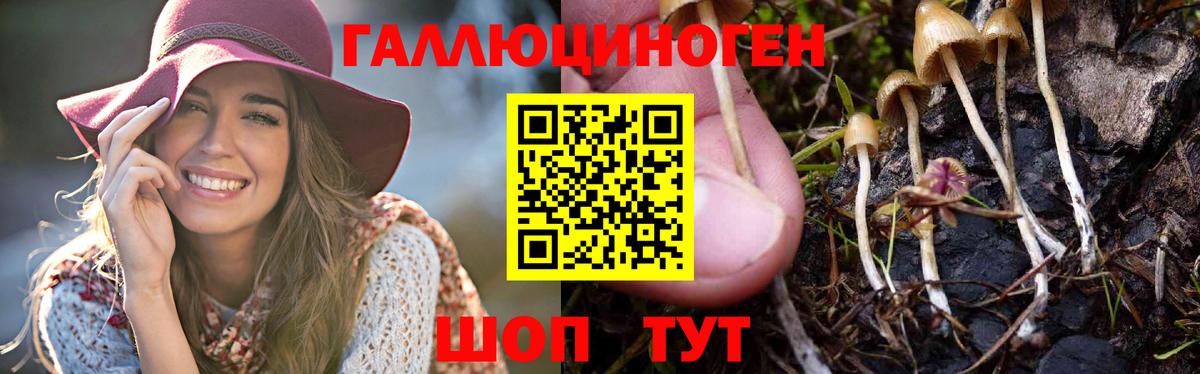 Галлюциногенные грибы GOLDEN TEACHER Холмск