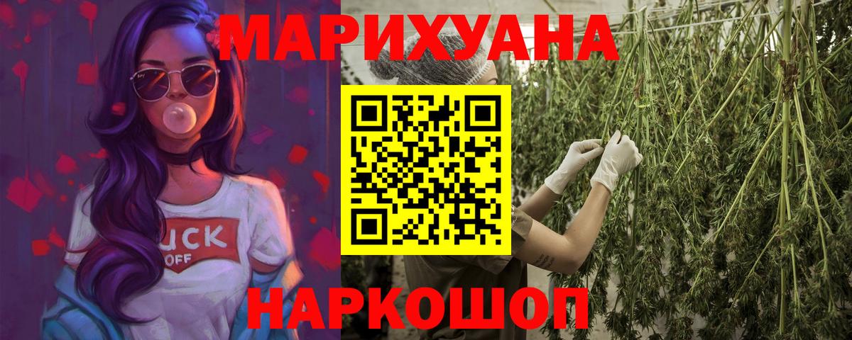 Канабис сатива Холмск